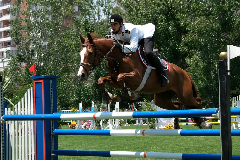 Equitación